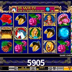 Explorando a Categoria de Eventos em Apostas na 5905